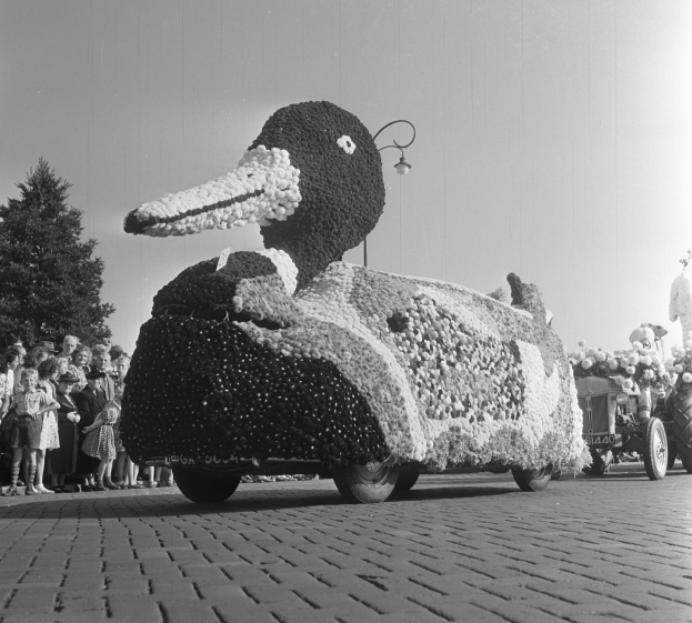 Ein Schwarz-Weiß-Foto eines mit Blumen geschmückten Entenwagens bei einem Umzug, umgeben von Menschen auf der linken Seite, Bäumen und einem klaren Himmel im Hintergrund.