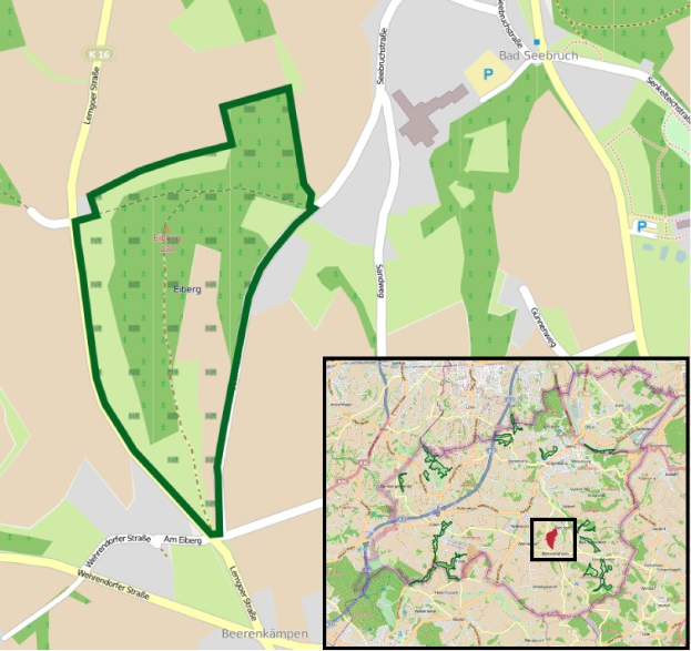 Ein detaillierter Stadtplan, der einen zentralen grünen Bereich als geplanten Baustandort markiert, mit umliegenden Straßen, Gebäuden und Sehenswürdigkeiten.