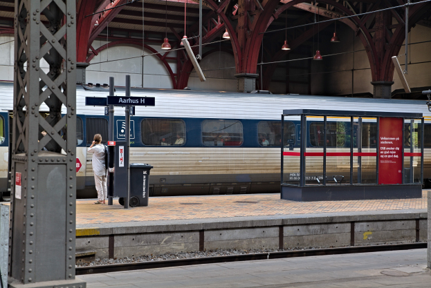 Ein Zug fährt auf einem Bahnsteig ein, auf dem eine Person in der Nähe steht, mit einem Müllcontainer, Pfosten, Informationsschildern und Deckenleuchten.