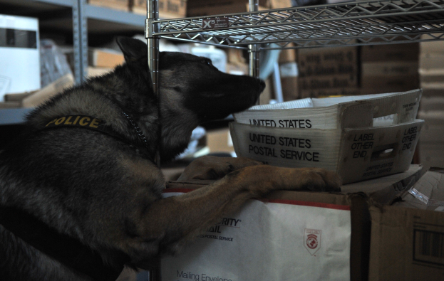 Ein schwarzer und brauner Polizeihund liegt auf einem Stapel Kisten in einem Lager umgeben von Kartonagen in Regalen.