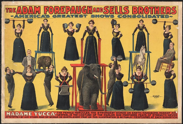 Plakat für die konsolidierte Zirkus-Show von Adam Forepaugh und Sells Brothers mit Performern auf Hockern und einem Elefanten in der Mitte mit Text.
