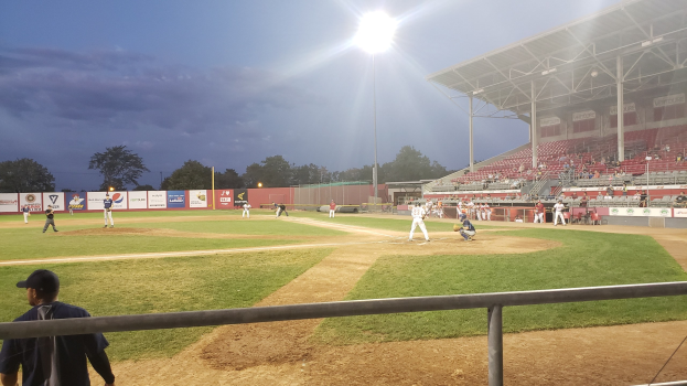 Baseballspiel in einem Stadion mit Zuschauern in den Rängen, Geländer im Vordergrund, Bäume und Stadioninfrastruktur im Hintergrund unter einem klaren Himmel.