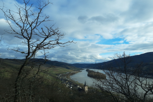 Wegen Hitze: Weitere Verschlechterung für Rhein in Mainz erwartet
