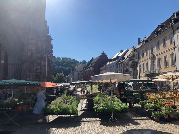 Ein belebter Markt im Heidelberger Altstadtt mit Menschen an Tischen mit Blumentöpfen unter Schirmen, vor Häusern, Bäumen und einem blauen Himmel.