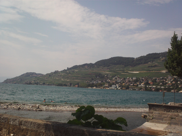 Natur pur: Das sind die Seen zwischen Harz und Heide